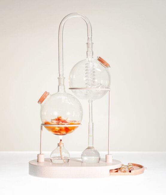 IT'S TRENDING_ The Lab Style (Free Report) - Eclectic Trends IT'S TRENDING_ The Lab Style (Free Report) - Eclectic Trends