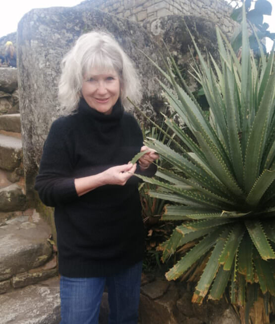 carole carole